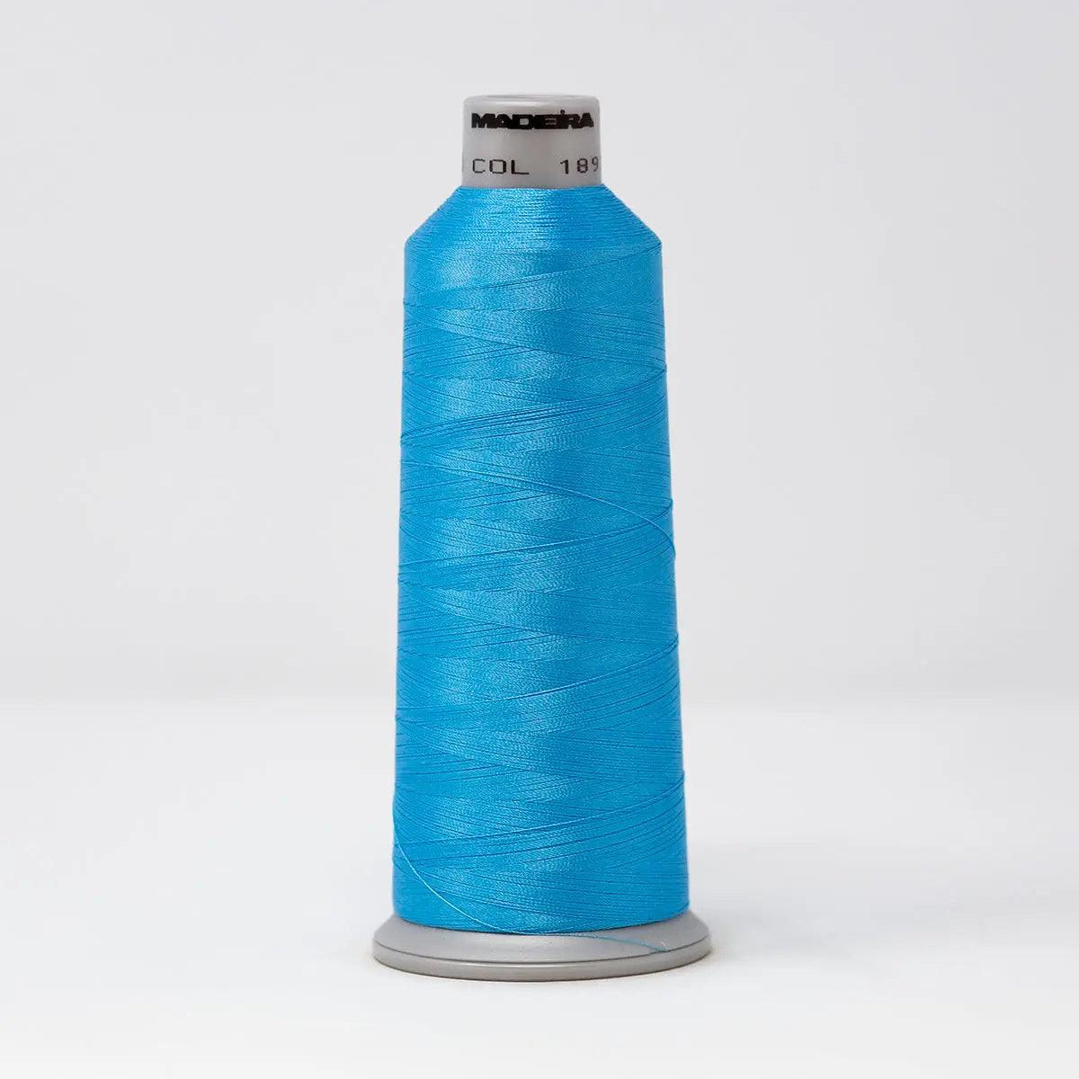 標本 Brazil Pelidnota cyanitarsis 20mm Pelidnota cyanitarsis · iNaturalist